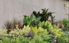 不看不知道，客戶這一年又做了這么多園林項目！